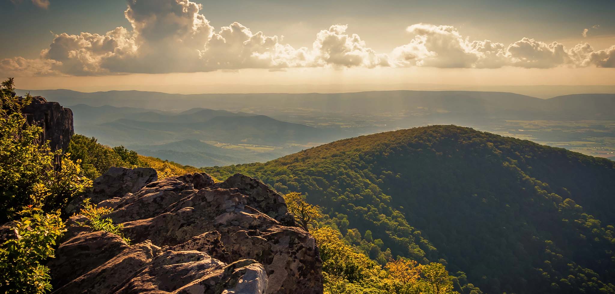 Wonder in Shenandoah National Park